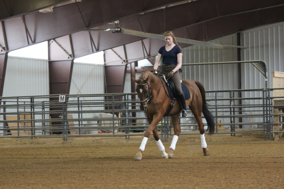 Ulf Wadeborn Clinic 19 May 2013 188.JPG